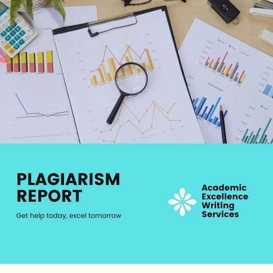 Plagiarism Report